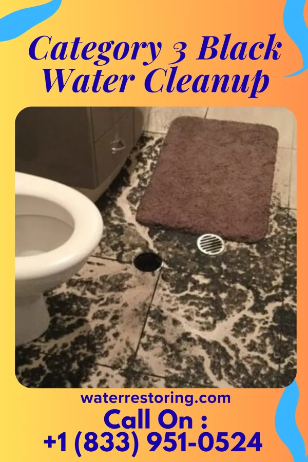 Category 3 Black Water Cleanup in Paola, KS